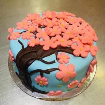 Foundation for Fondant - Hindi